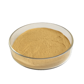 Animal Feed Ingredients Choline Chloride